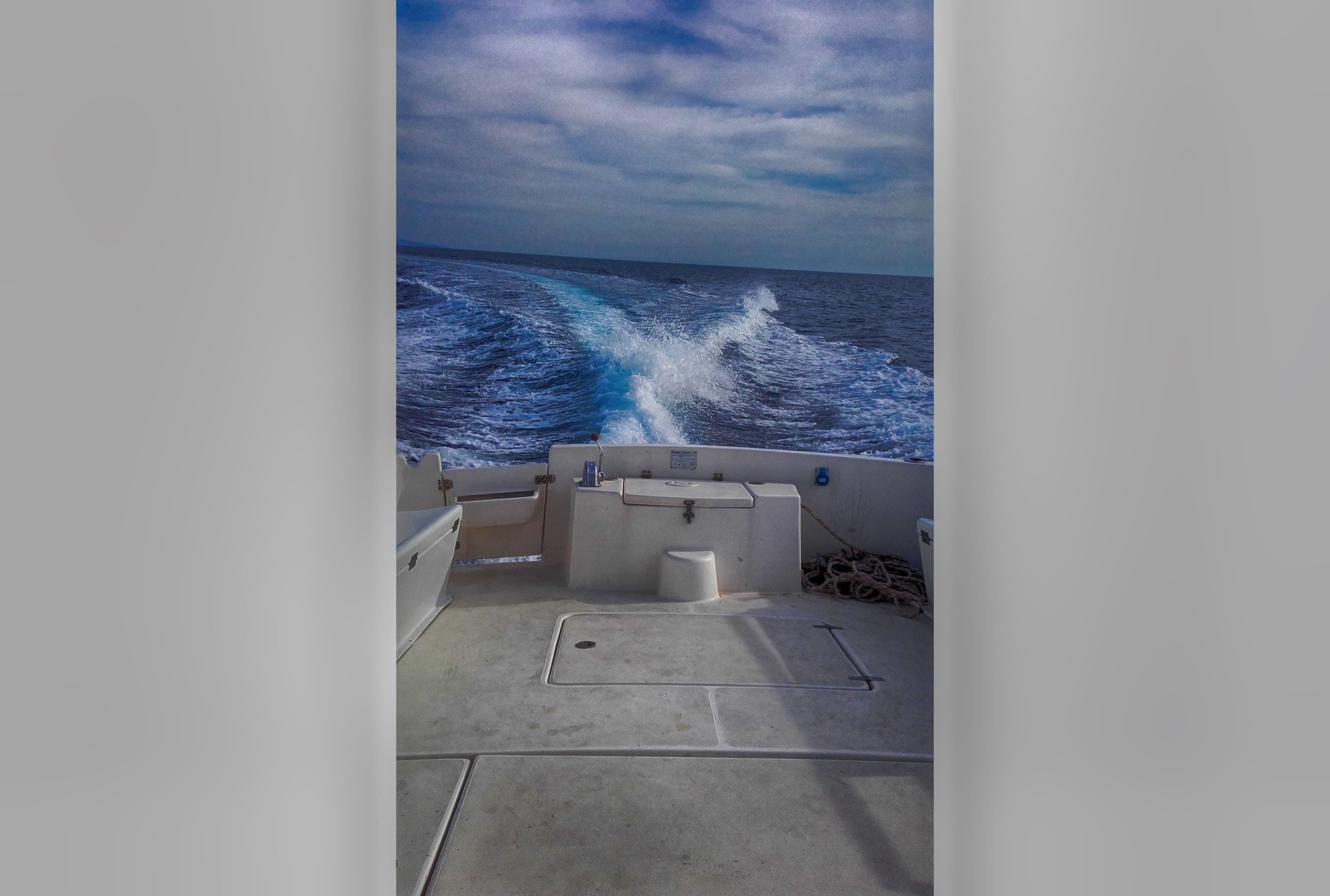 Stelios Boat Transfers image 4